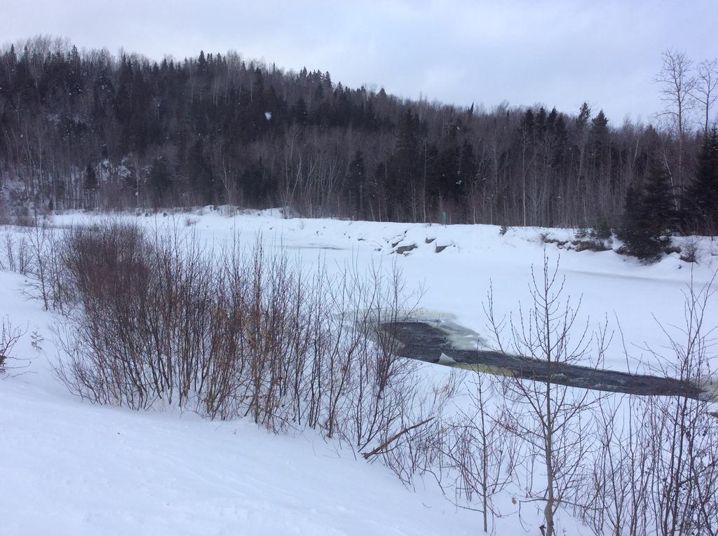 Camping Le 4 Chemins L'Anse-Saint-Jean Exterior photo